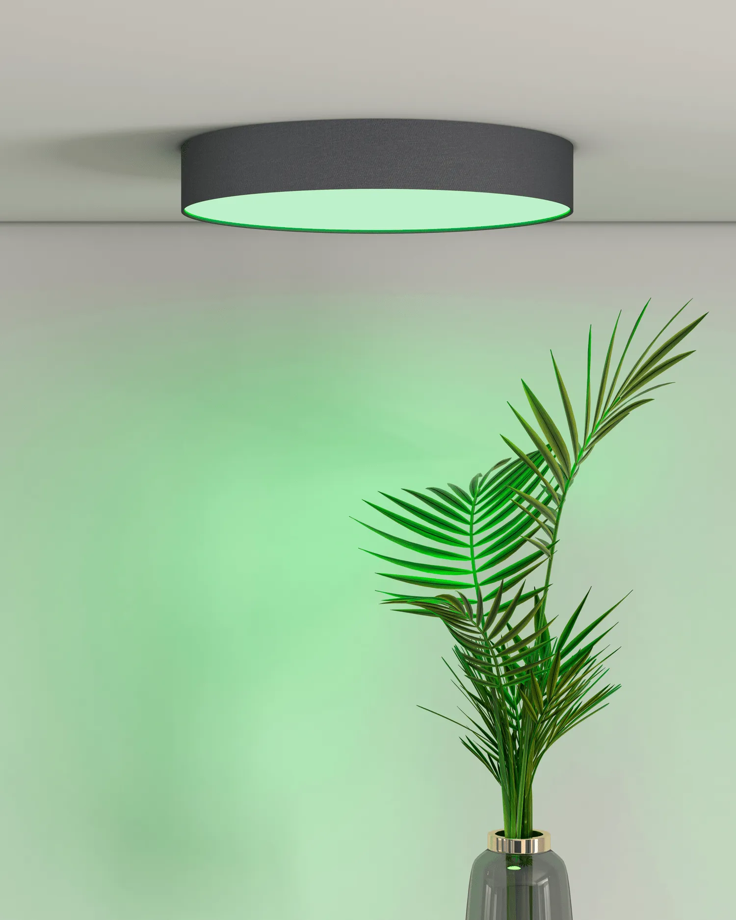 Calex Smart Ceiling Lamp 30cm - RGB Warm White - Black